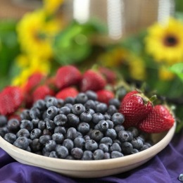 “Hop” on over this morning to the leasing office for Easter brunch!  Starting at 11:00am until supplies last.  We can’t wait to see you then!  #easter #brunch #mimosas #apartmentliving 🐣🐰🐰🐣 Instagram post from @palmettopointeapartmenthomes on April 07, 2023 00:00:00am